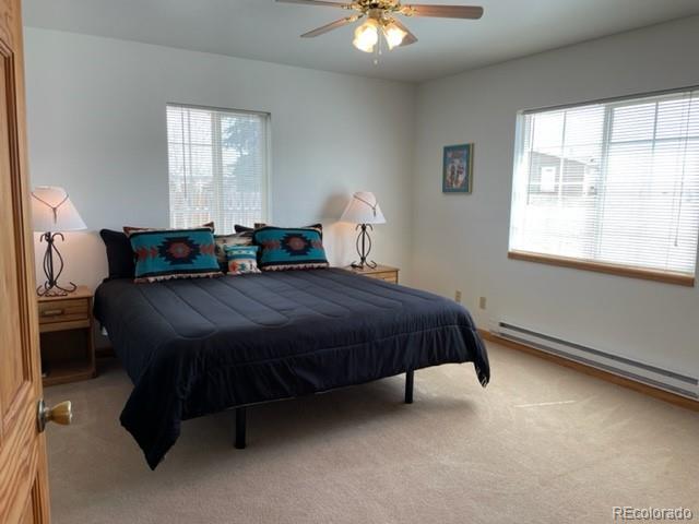 MLS Image #11 for 10  granada court,westcliffe, Colorado