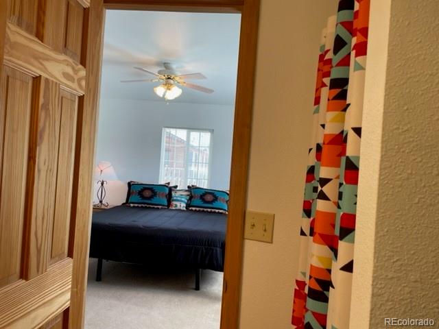 MLS Image #16 for 10  granada court,westcliffe, Colorado