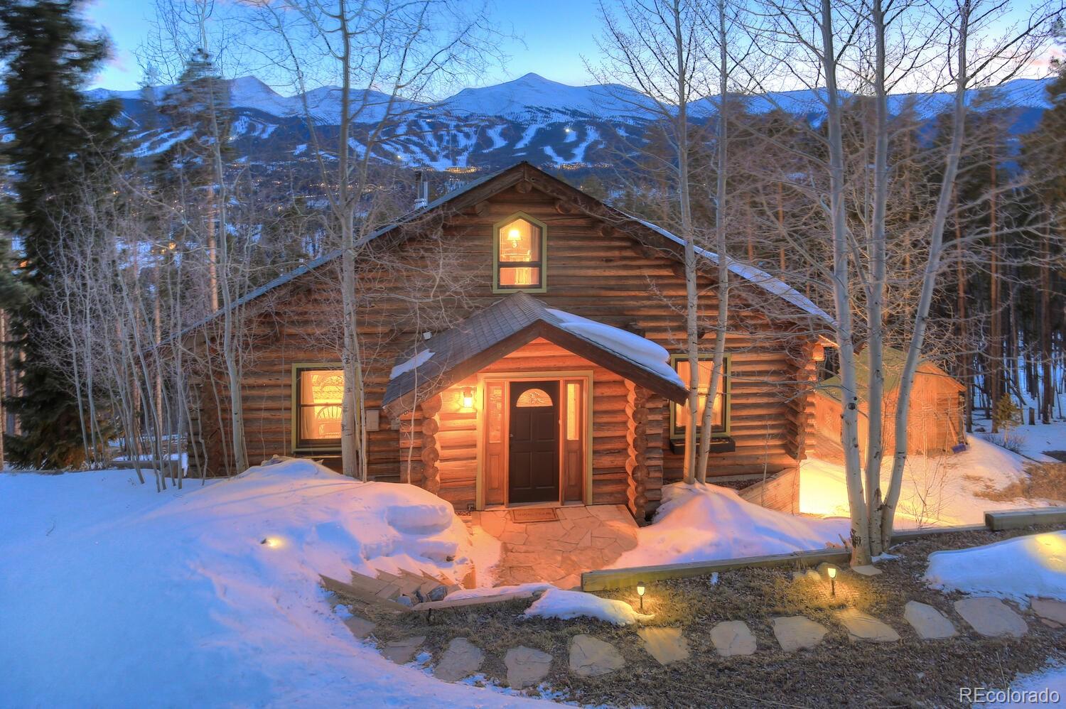 MLS Image #1 for 194  county road 452 ,breckenridge, Colorado