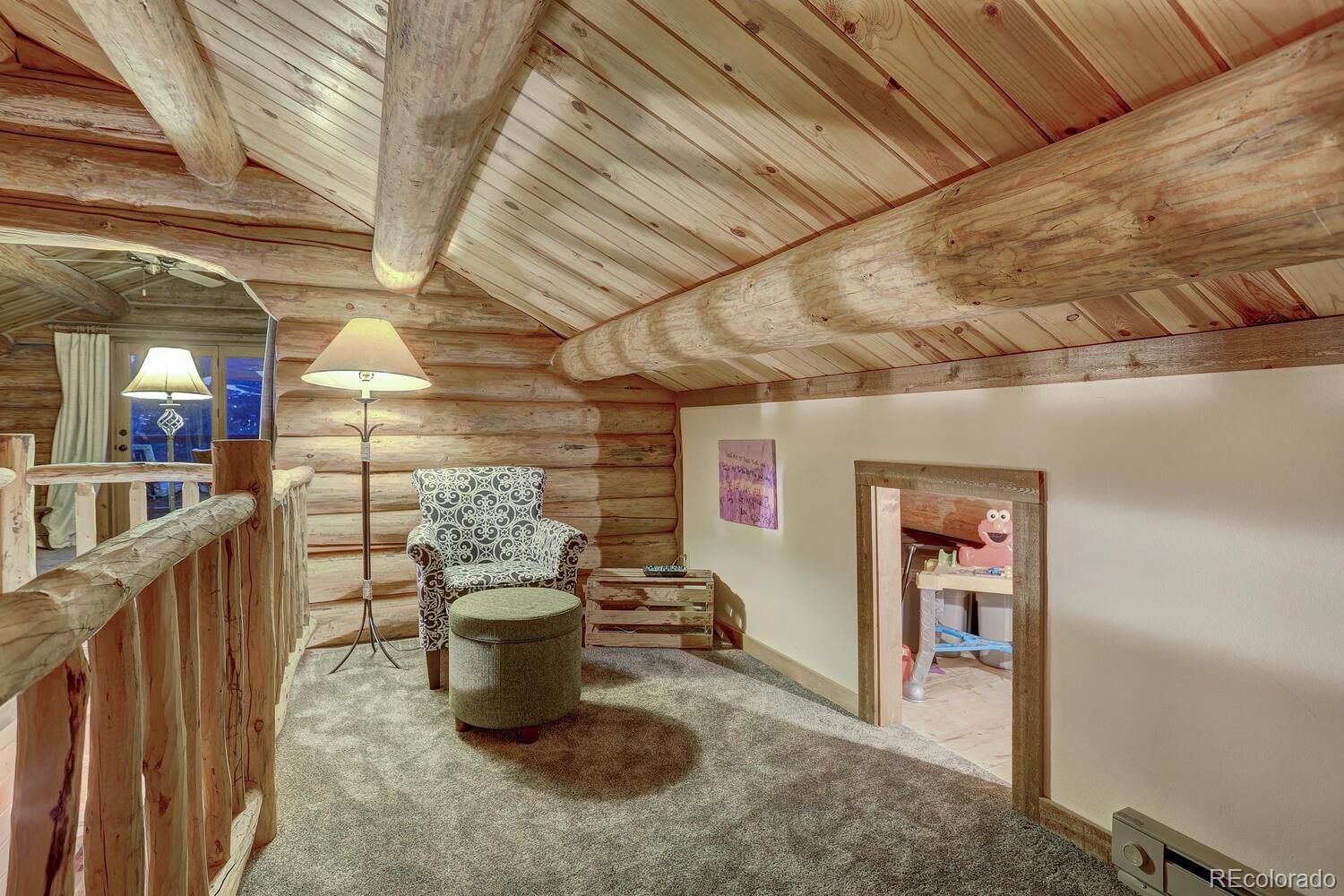 MLS Image #27 for 194  county road 452 ,breckenridge, Colorado