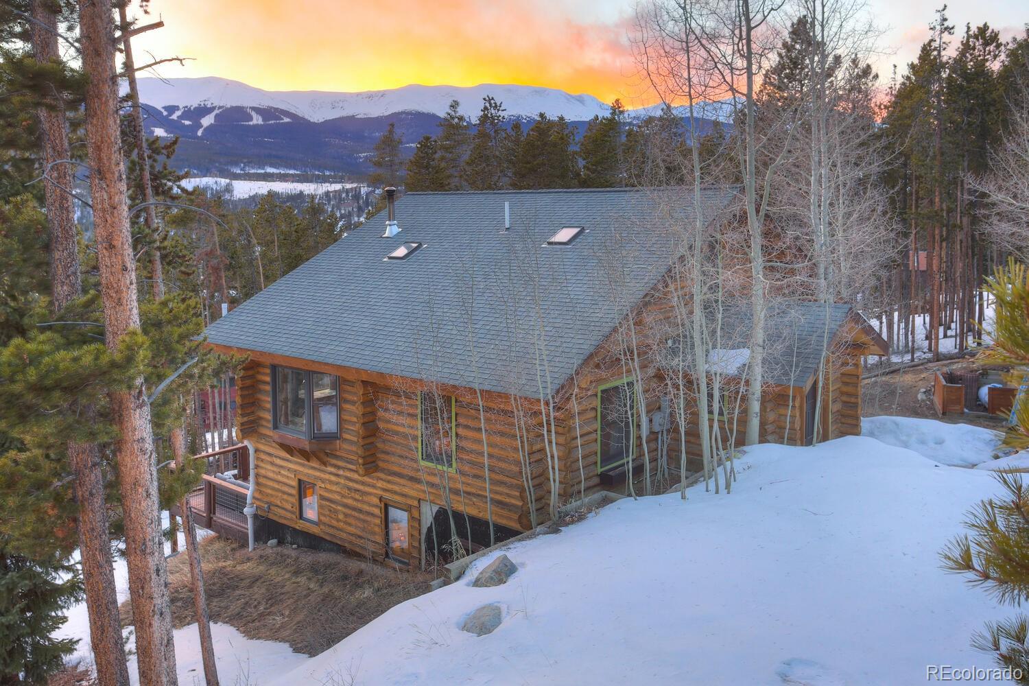 MLS Image #8 for 194  county road 452 ,breckenridge, Colorado