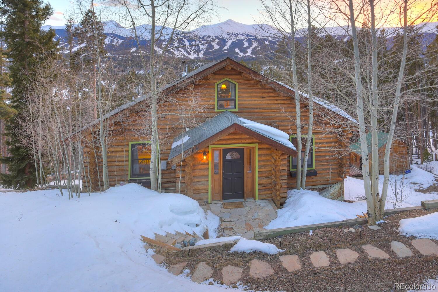 MLS Image #9 for 194  county road 452 ,breckenridge, Colorado