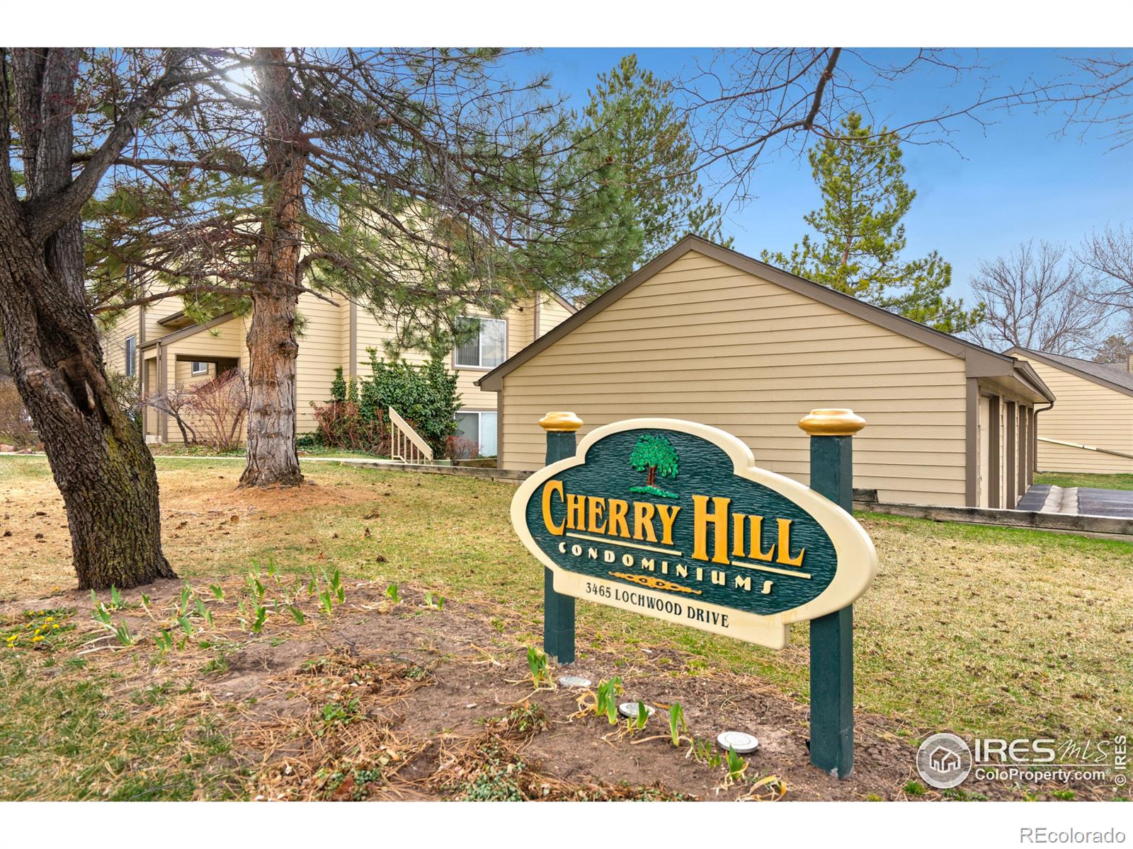 MLS Image #1 for 3465  lochwood drive,fort collins, Colorado