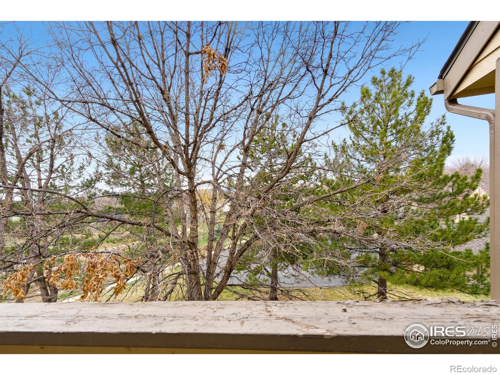 MLS Image #3 for 3465  lochwood drive,fort collins, Colorado