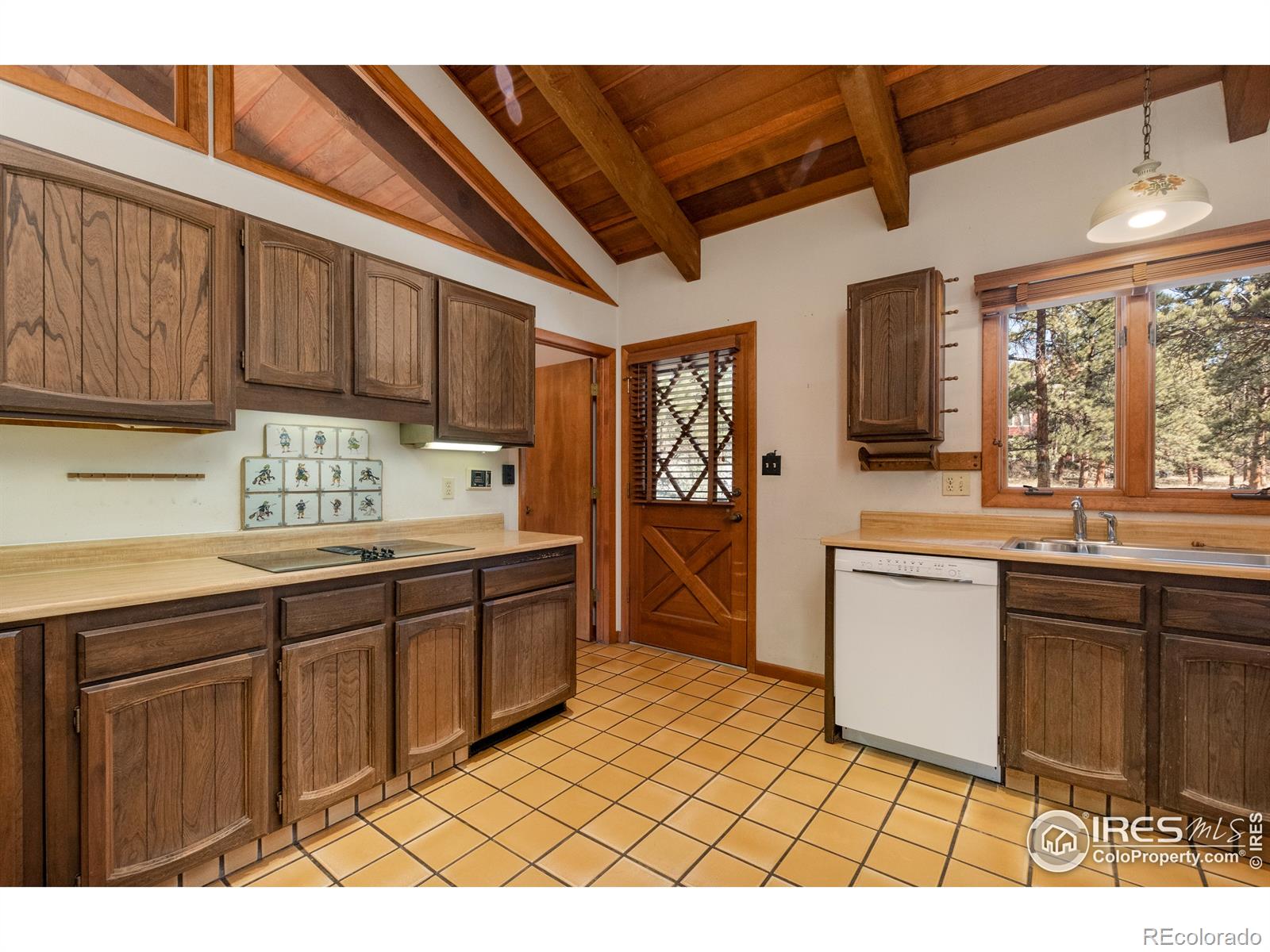 MLS Image #11 for 451  prospector lane,estes park, Colorado