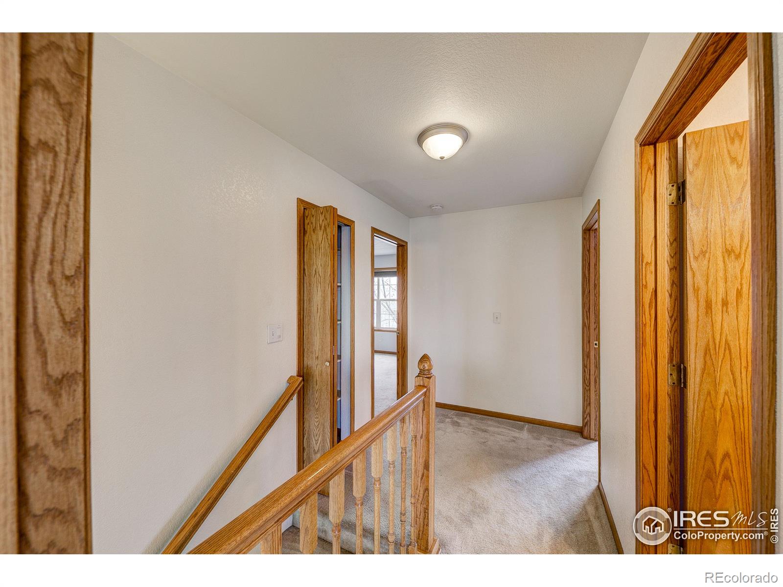 MLS Image #18 for 447  lark bunting avenue,loveland, Colorado