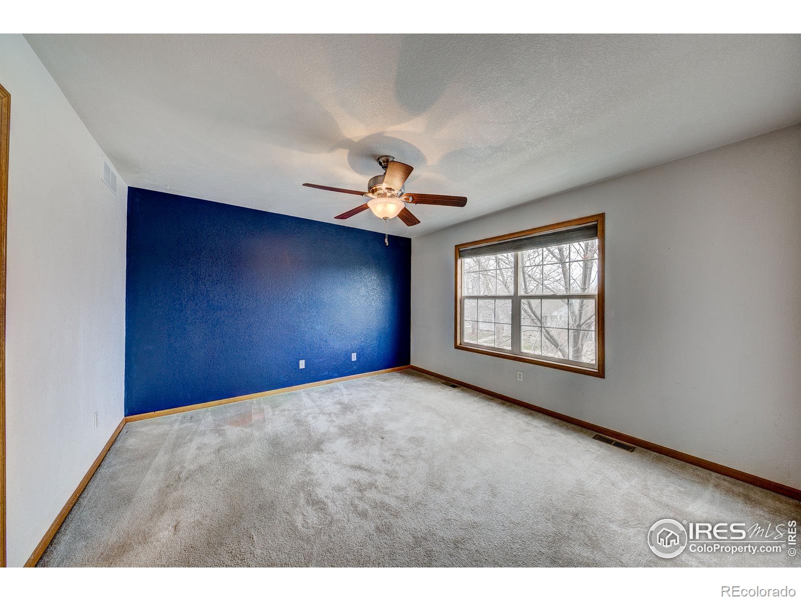 MLS Image #19 for 447  lark bunting avenue,loveland, Colorado