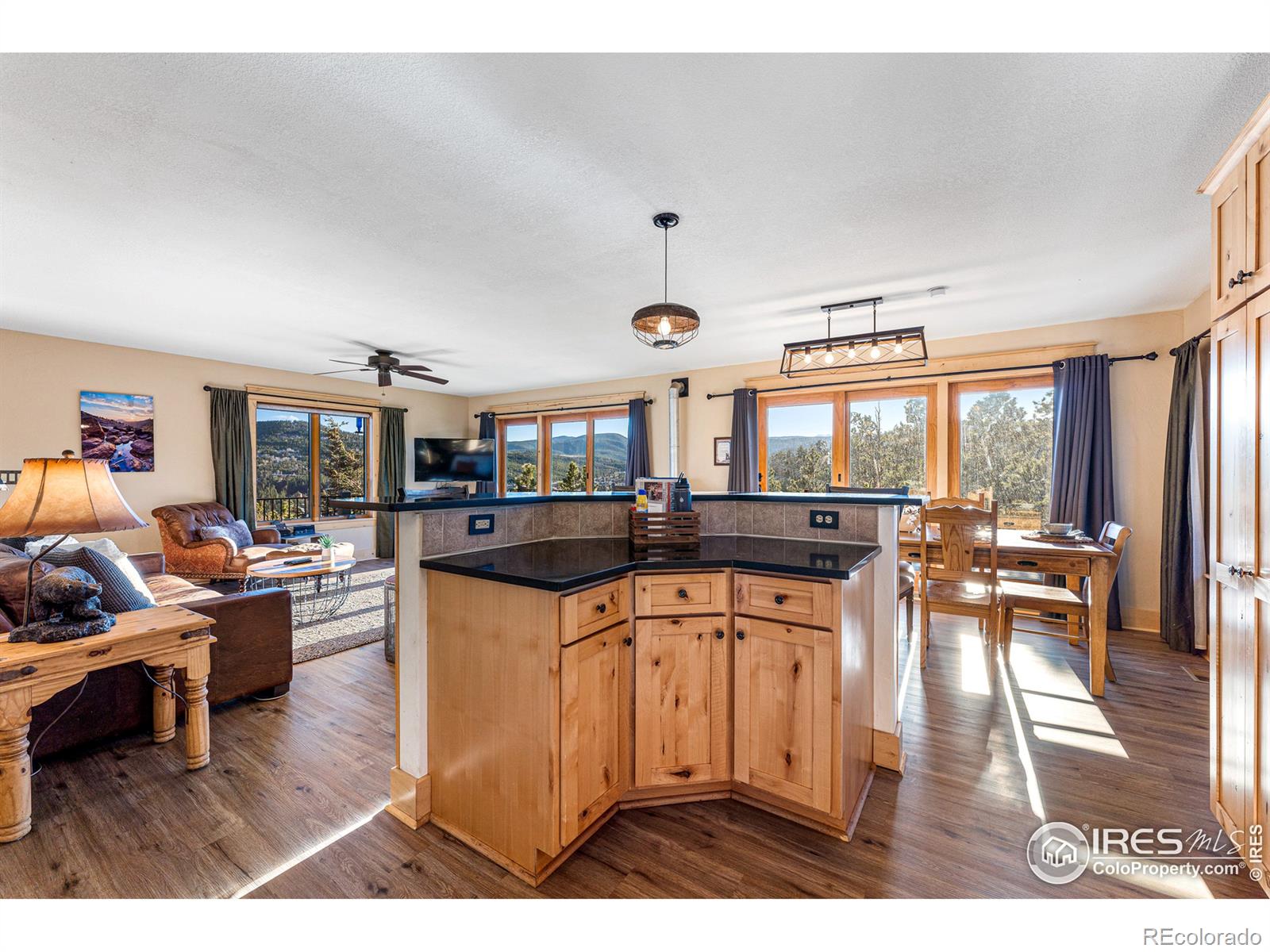 MLS Image #10 for 513  horseshoe place,nederland, Colorado