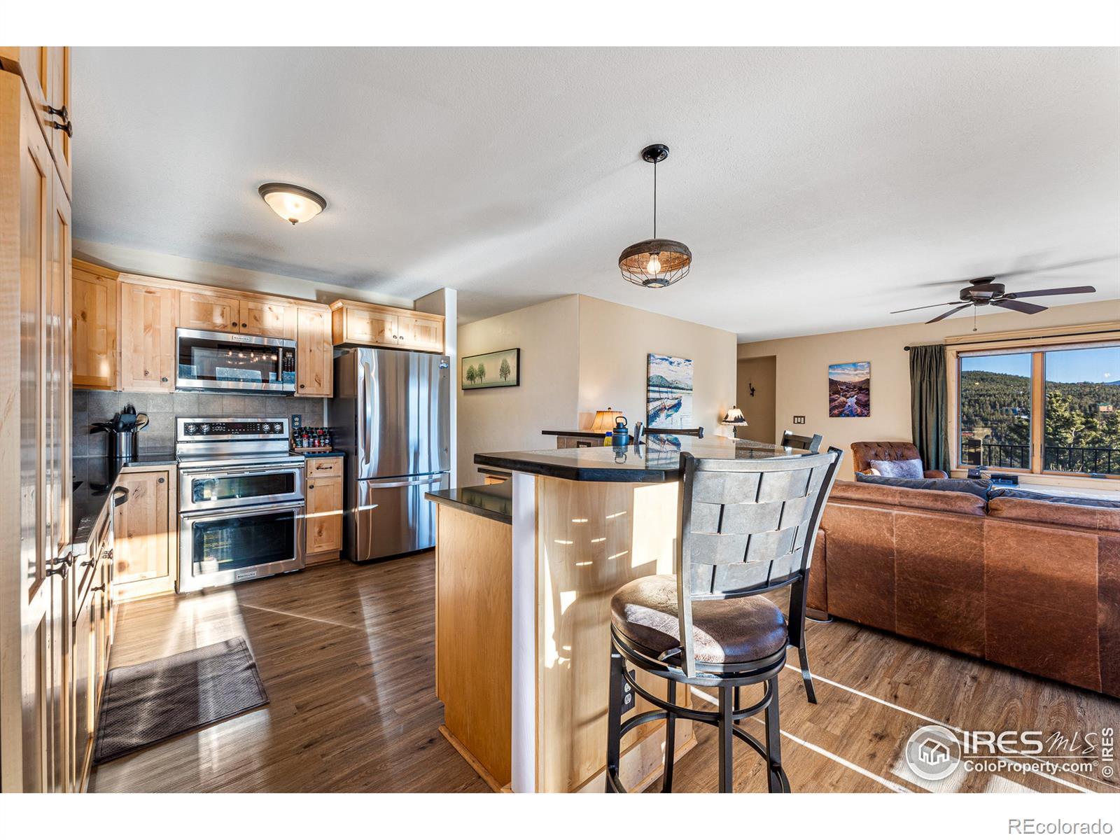 MLS Image #11 for 513  horseshoe place,nederland, Colorado