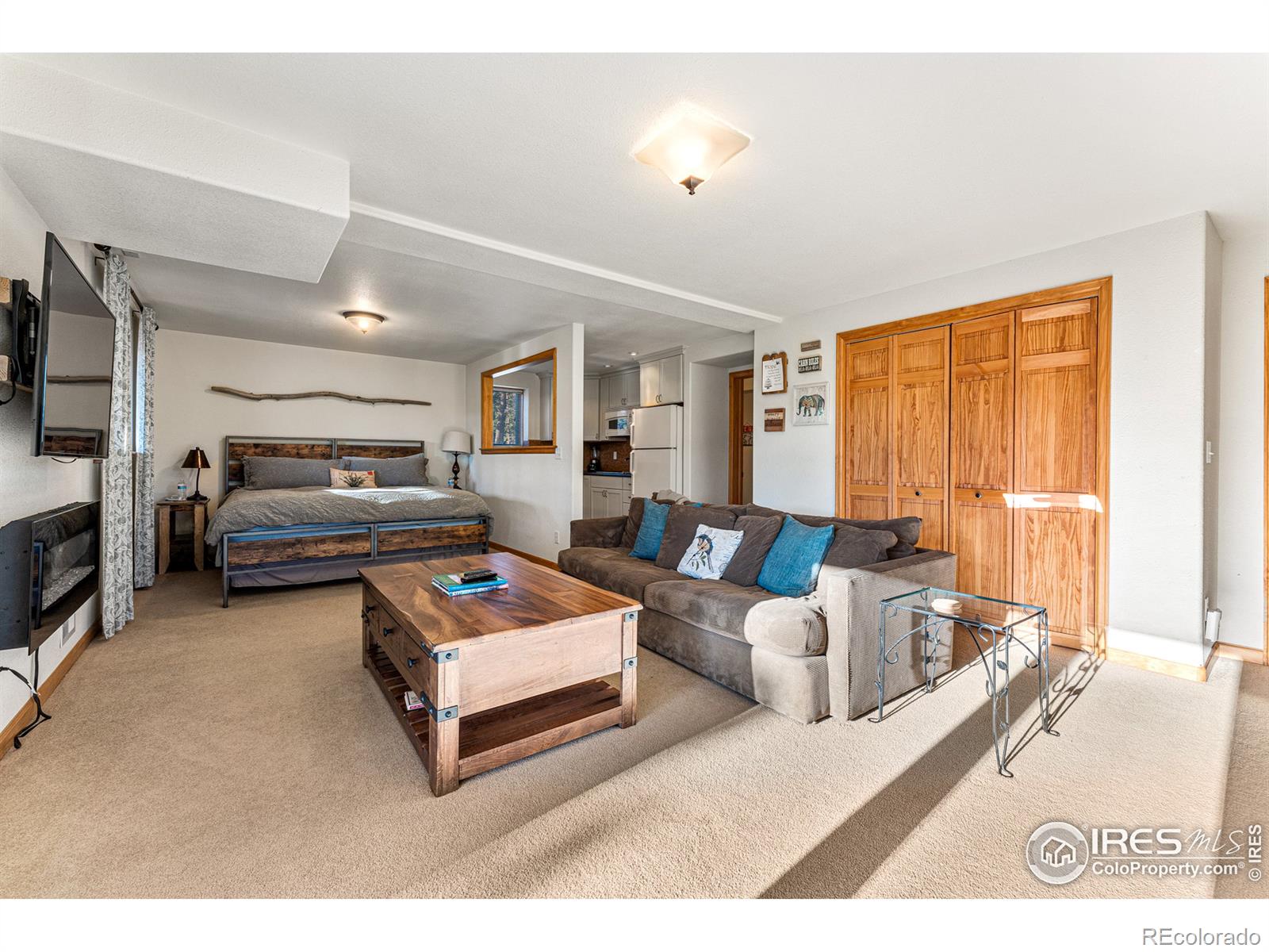 MLS Image #28 for 513  horseshoe place,nederland, Colorado