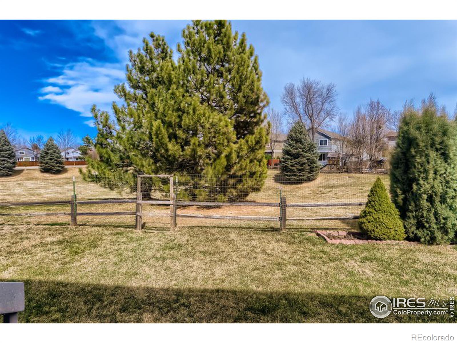 MLS Image #25 for 1262  monarch drive,longmont, Colorado