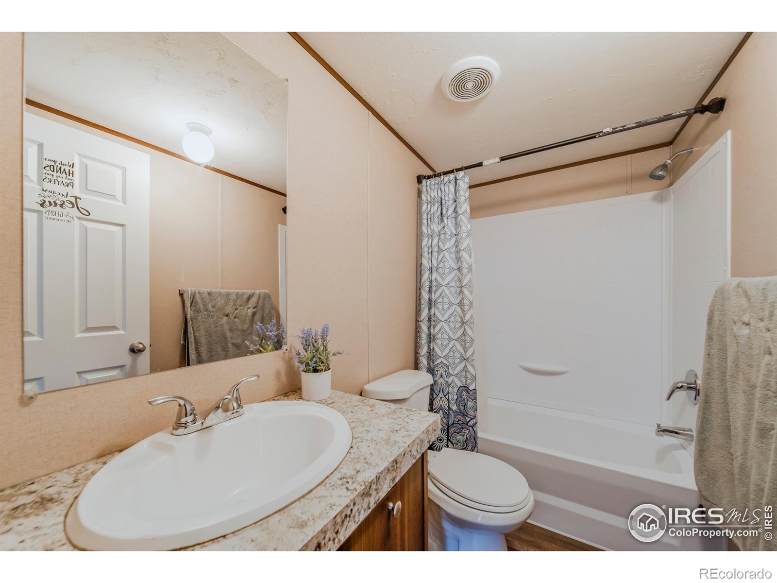 MLS Image #14 for 209  larch drive,log lane village, Colorado