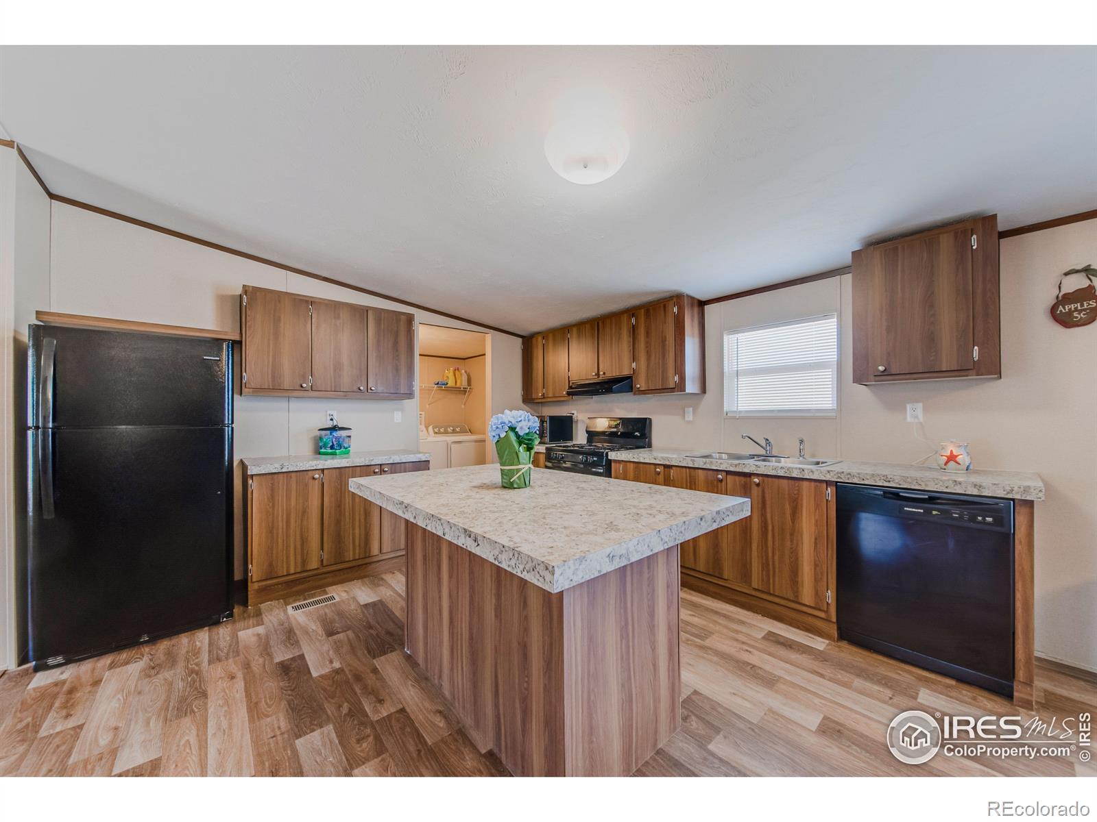 MLS Image #6 for 209  larch drive,log lane village, Colorado