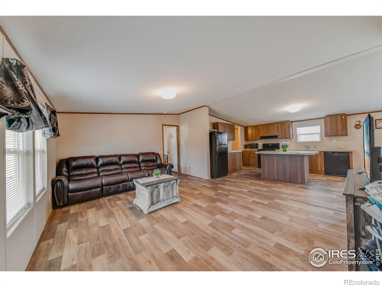 MLS Image #8 for 209  larch drive,log lane village, Colorado