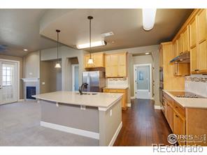 MLS Image #0 for 1379  charles drive,longmont, Colorado