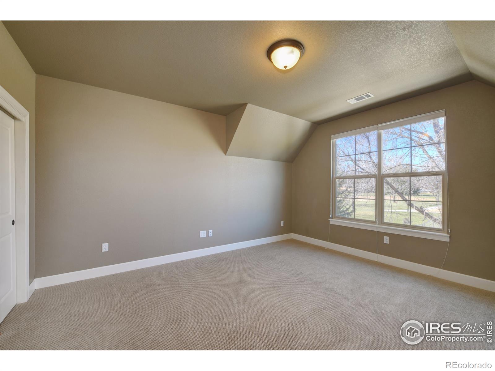 MLS Image #10 for 1379  charles drive,longmont, Colorado