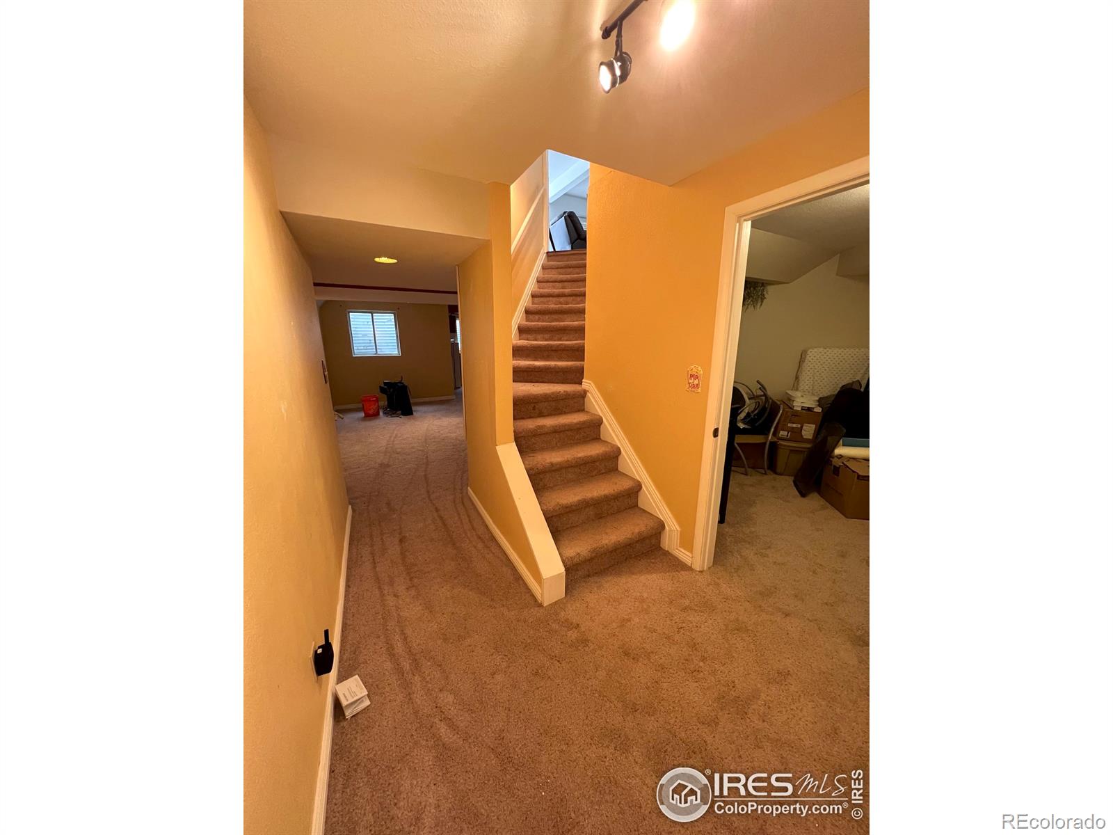 MLS Image #24 for 1300  3rd street,eaton, Colorado