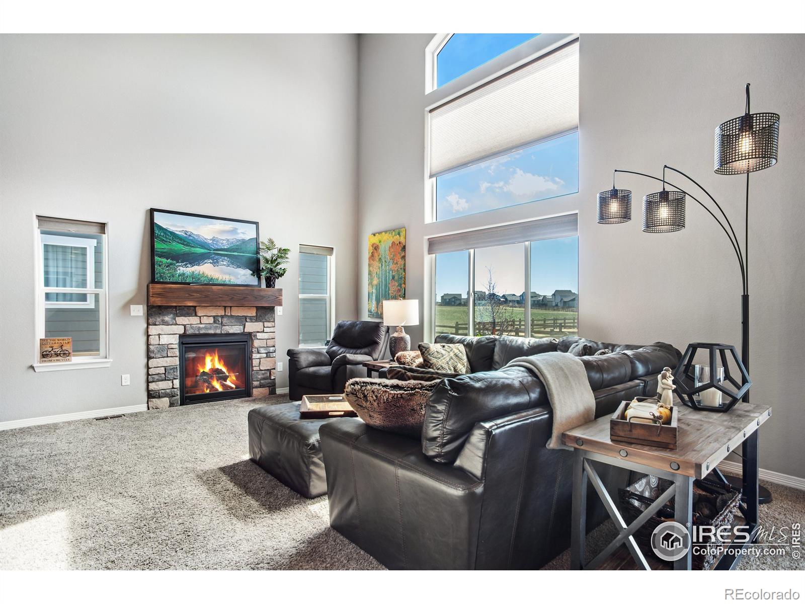 MLS Image #10 for 5461  homeward drive,timnath, Colorado