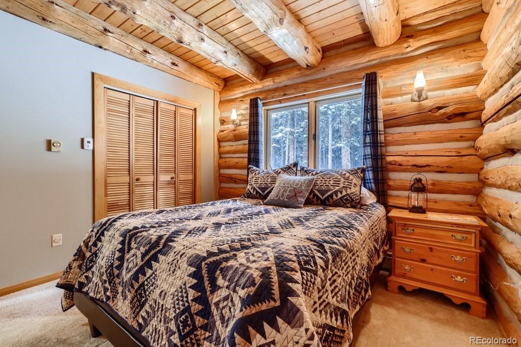 MLS Image #16 for 704  scr 672 ,breckenridge, Colorado