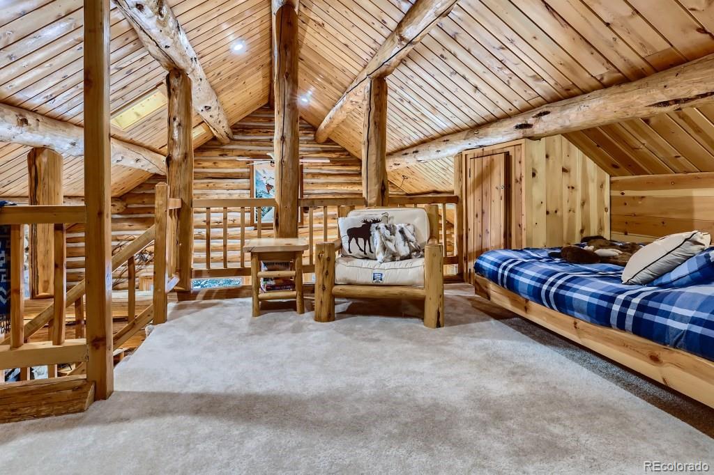 MLS Image #19 for 704  scr 672 ,breckenridge, Colorado
