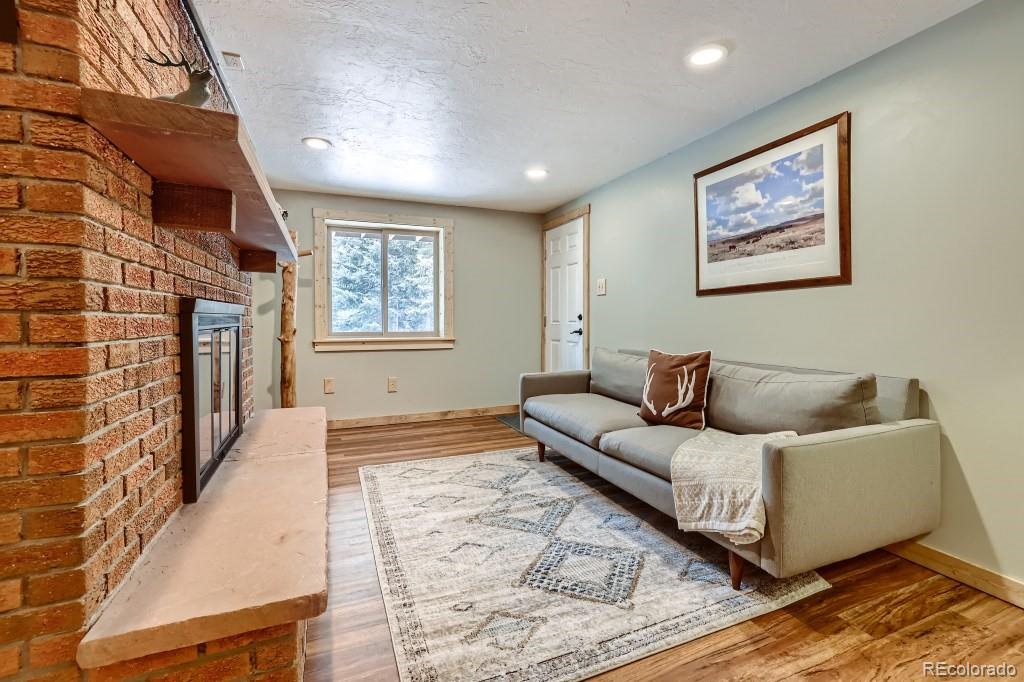 MLS Image #20 for 704  scr 672 ,breckenridge, Colorado