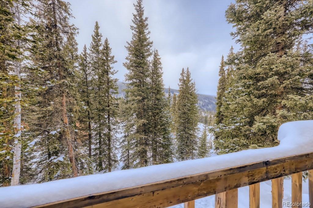 MLS Image #25 for 704  scr 672 ,breckenridge, Colorado