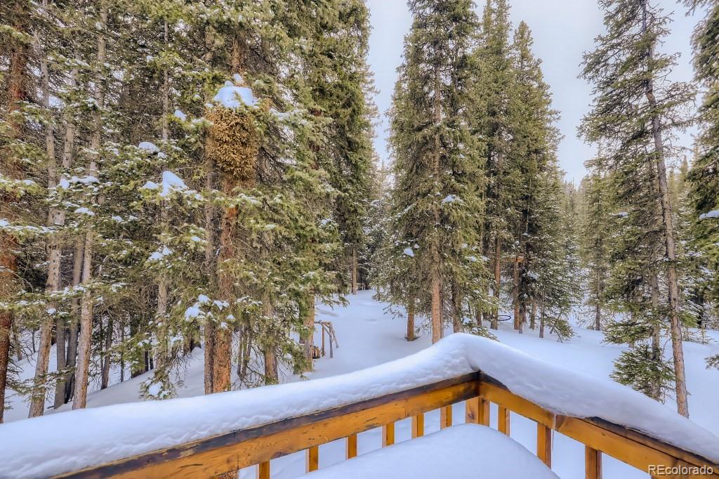 MLS Image #26 for 704  scr 672 ,breckenridge, Colorado