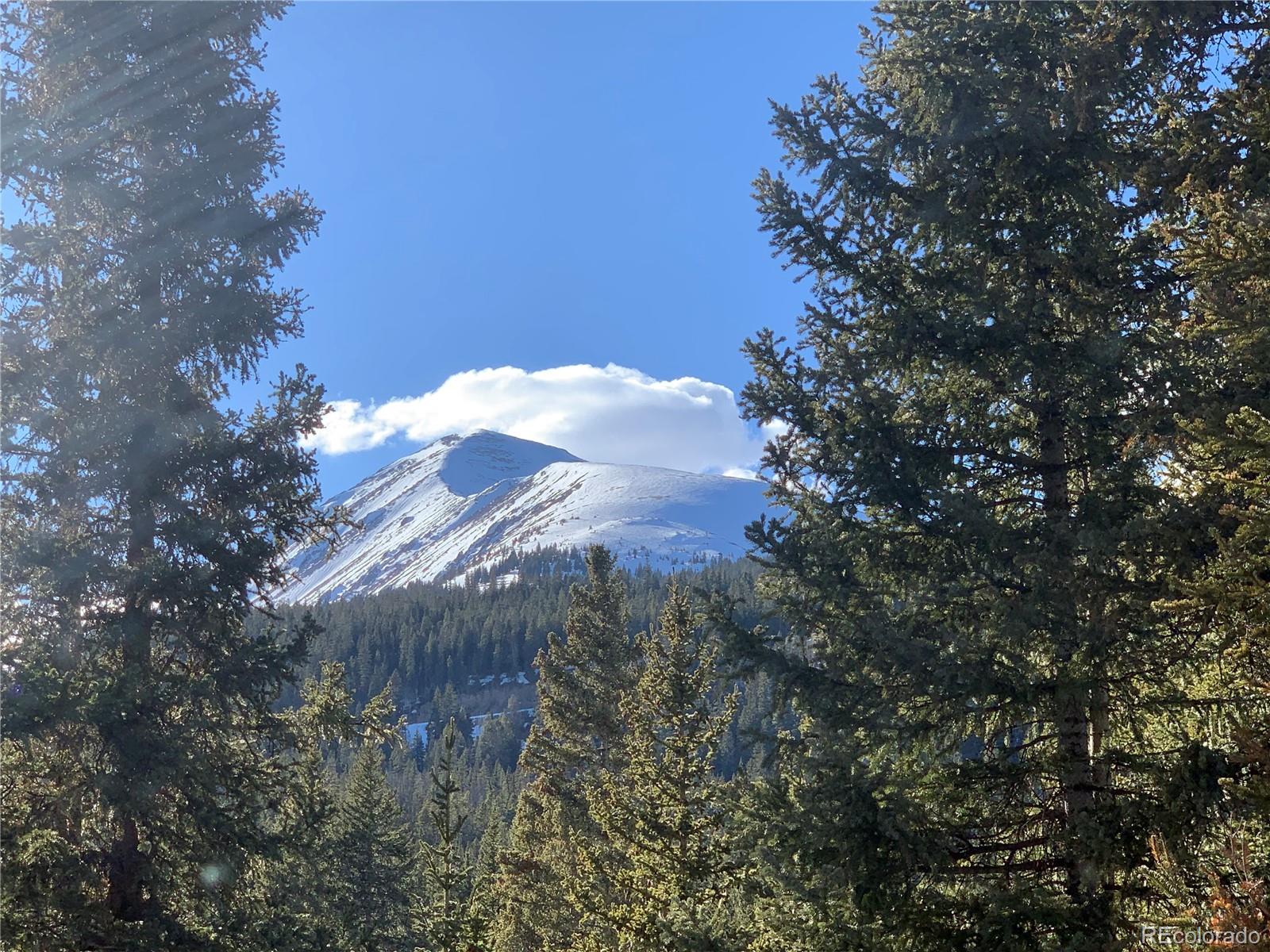 MLS Image #27 for 704  scr 672 ,breckenridge, Colorado