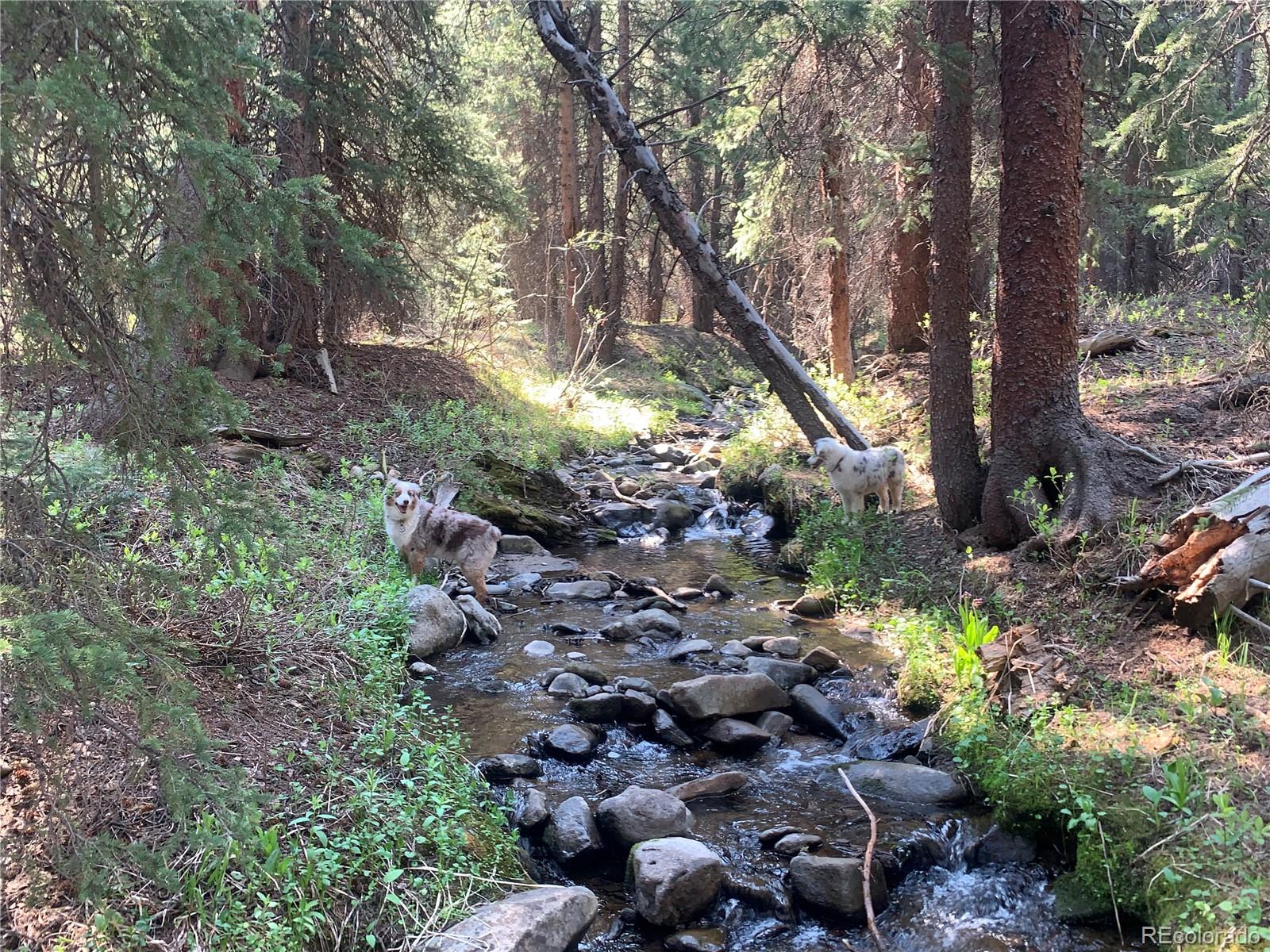 MLS Image #28 for 704  scr 672 ,breckenridge, Colorado