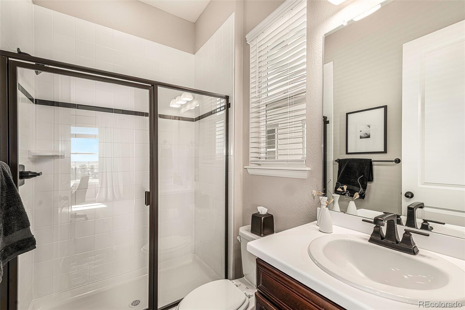MLS Image #15 for 20319  terrace view drive,parker, Colorado
