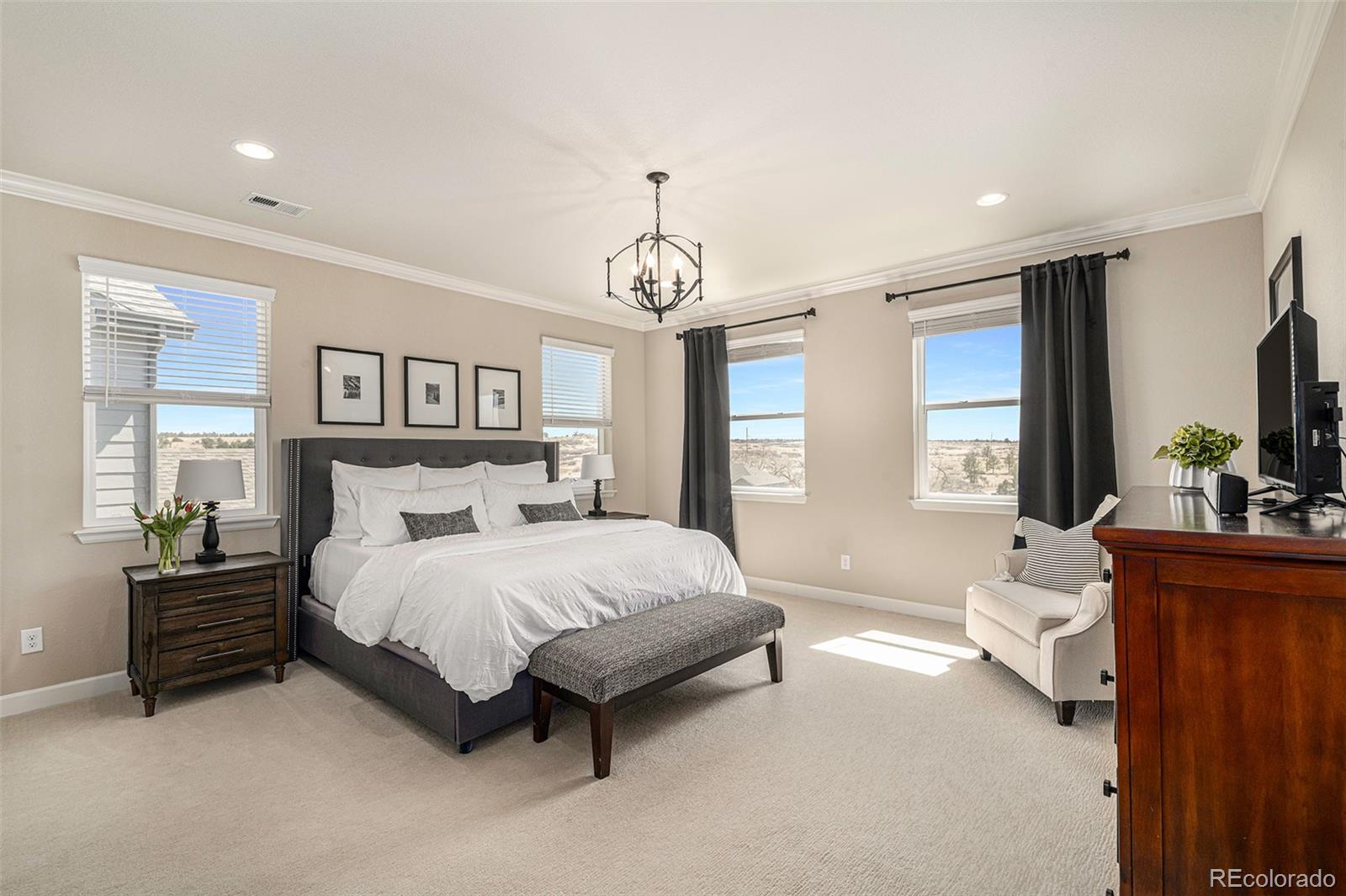 MLS Image #17 for 20319  terrace view drive,parker, Colorado
