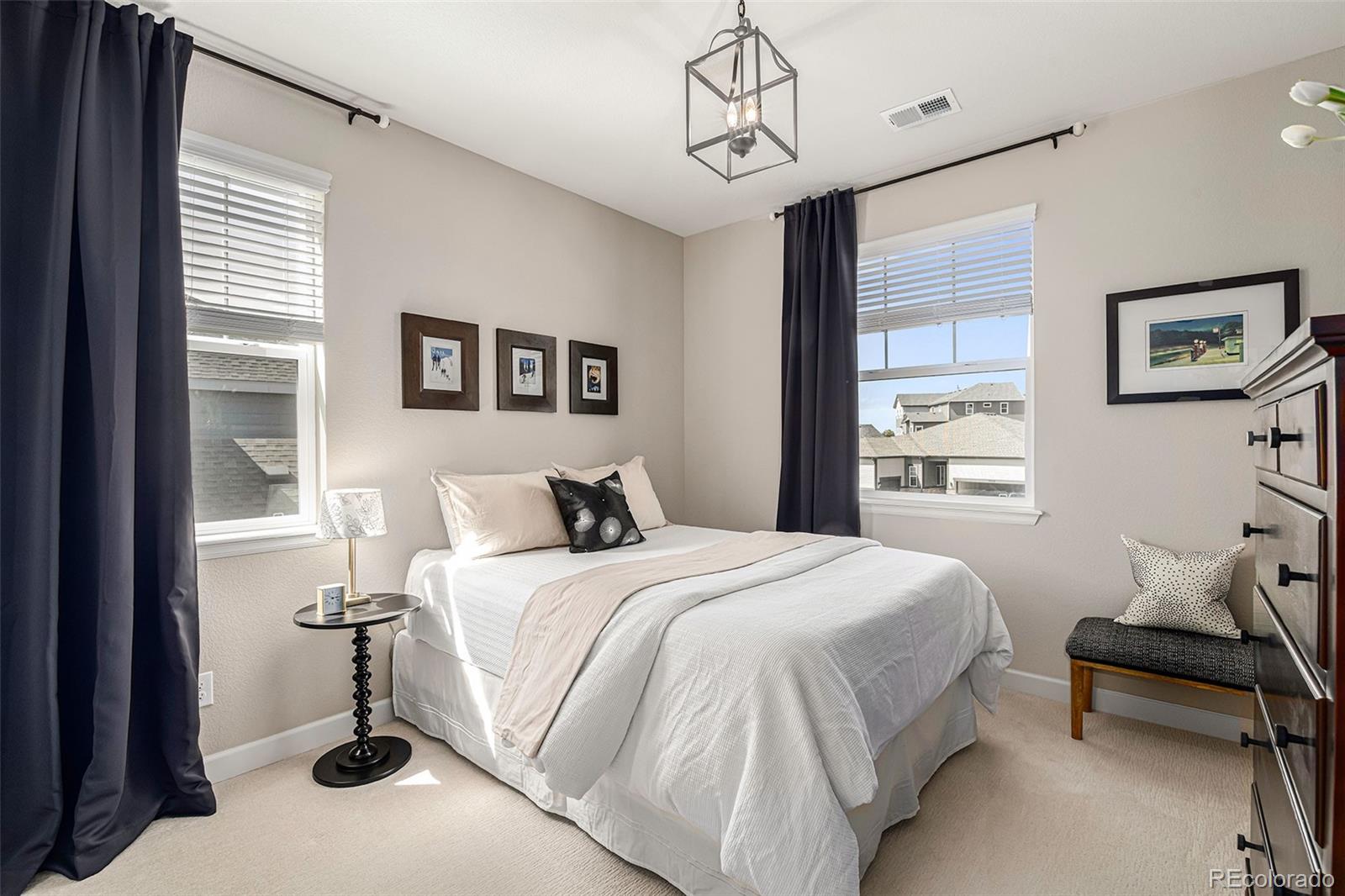 MLS Image #21 for 20319  terrace view drive,parker, Colorado