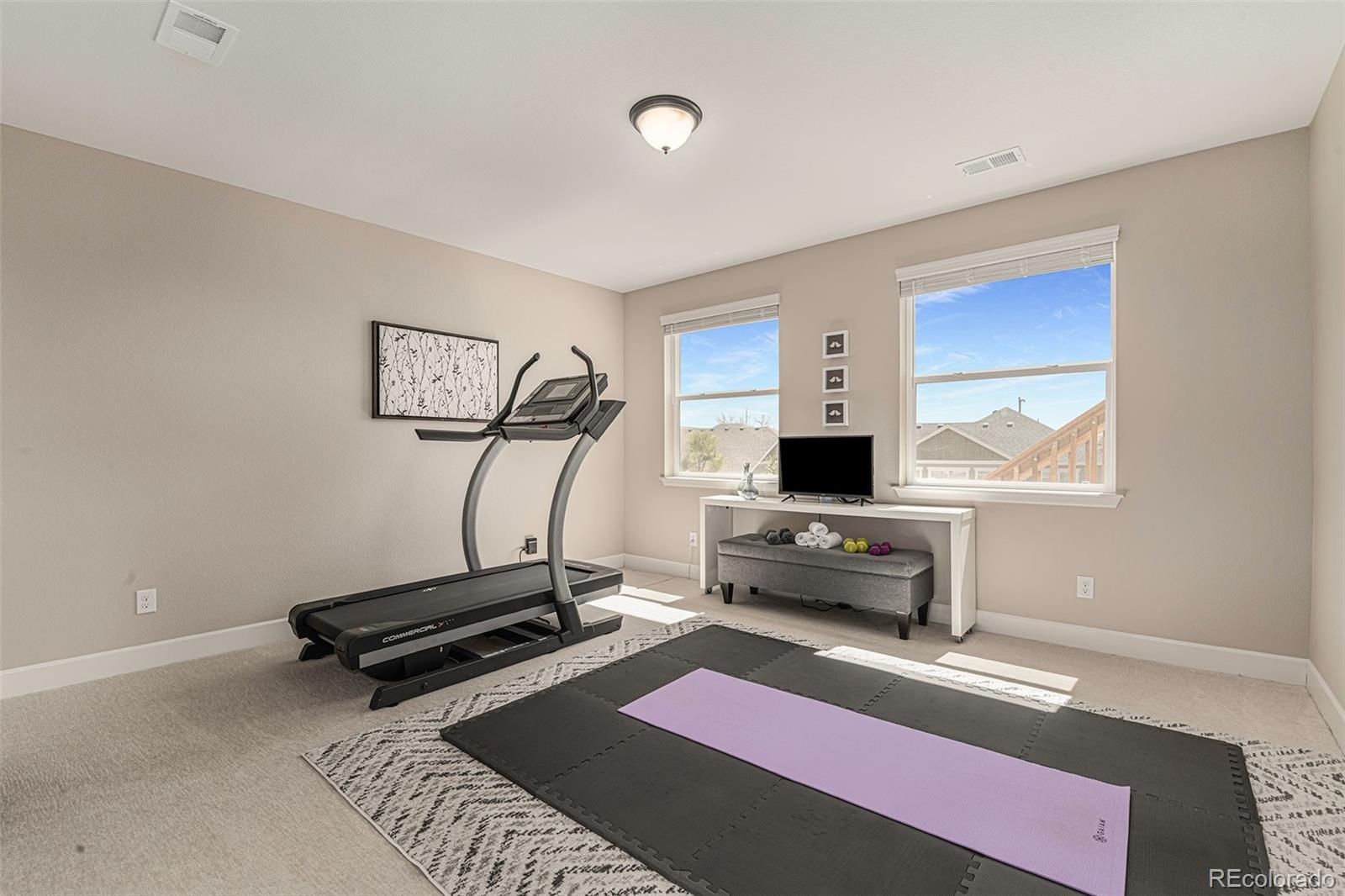 MLS Image #28 for 20319  terrace view drive,parker, Colorado