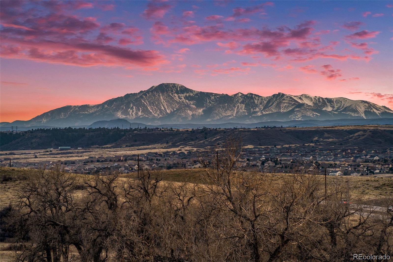 MLS Image #32 for 20319  terrace view drive,parker, Colorado