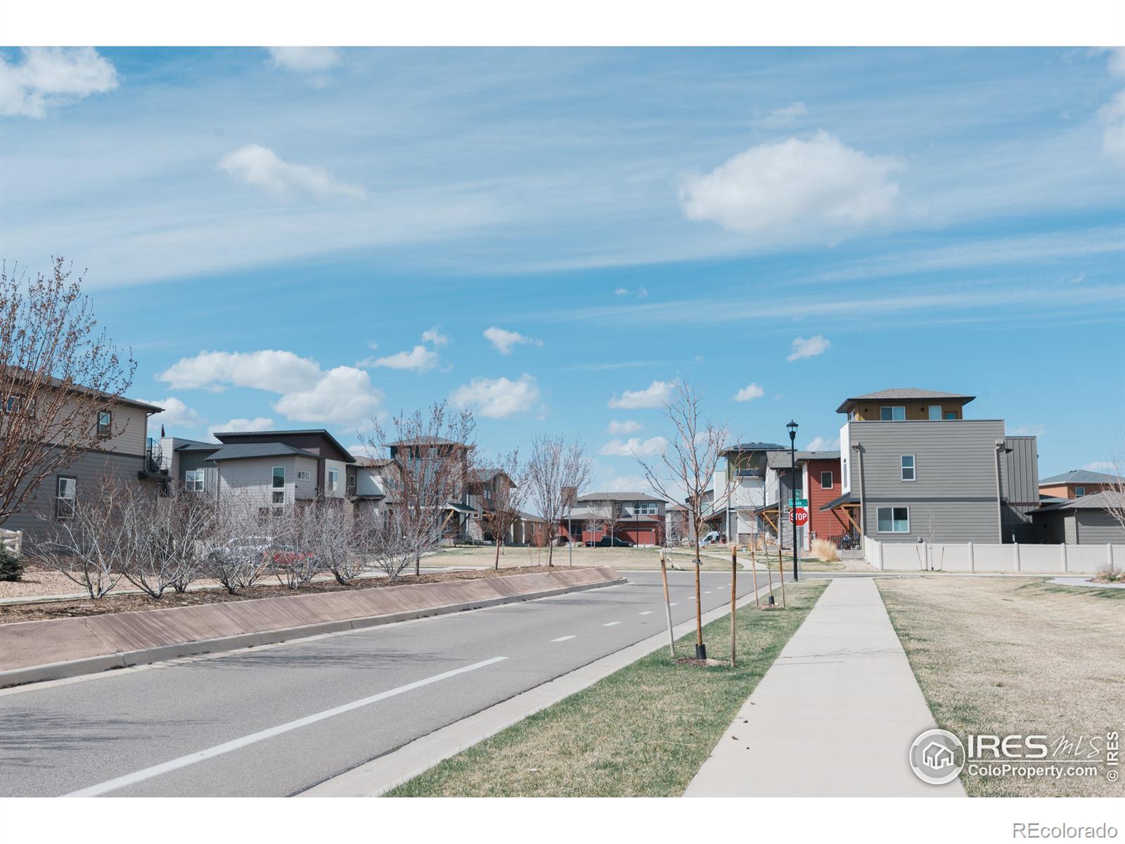 MLS Image #28 for 503  stout street,fort collins, Colorado