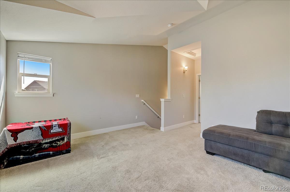 MLS Image #21 for 3560 s lisbon court,aurora, Colorado