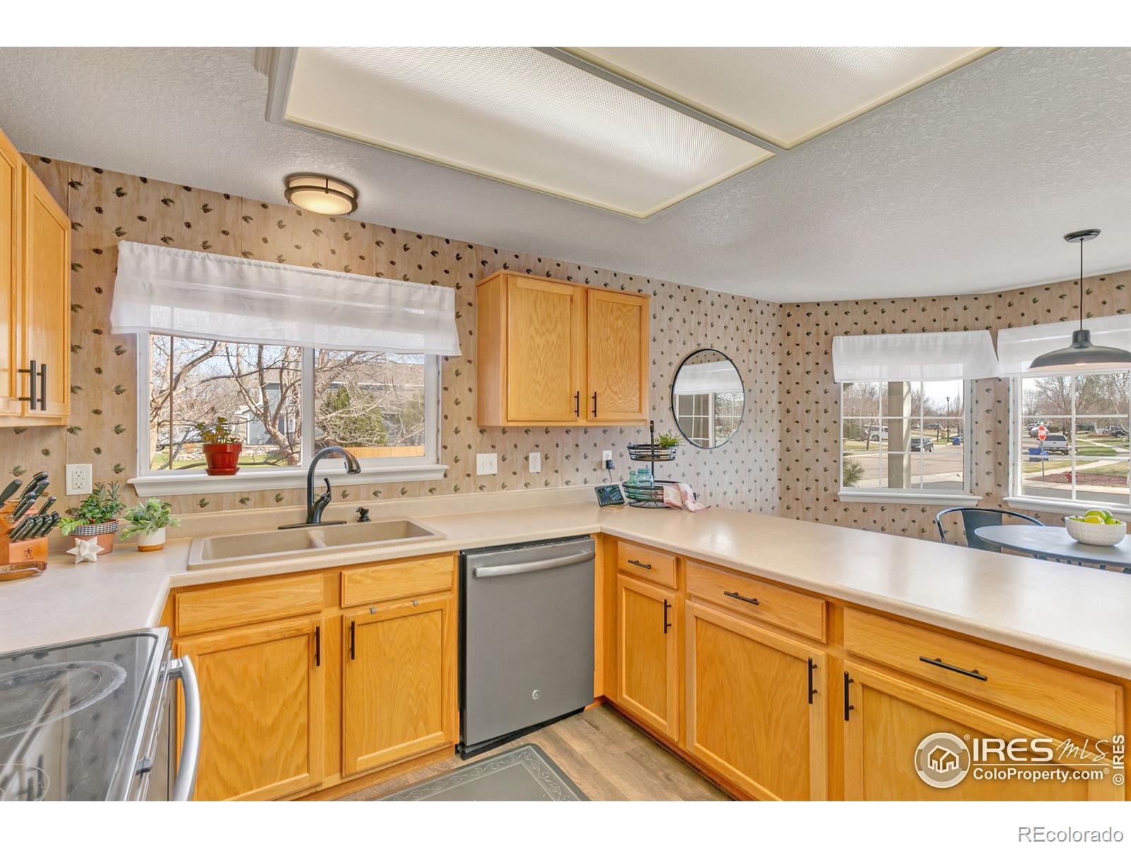 MLS Image #12 for 4843  osprey circle,frederick, Colorado