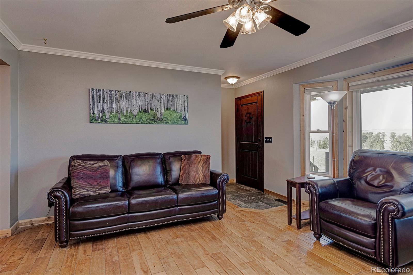 MLS Image #10 for 40207  ferns road,elizabeth, Colorado