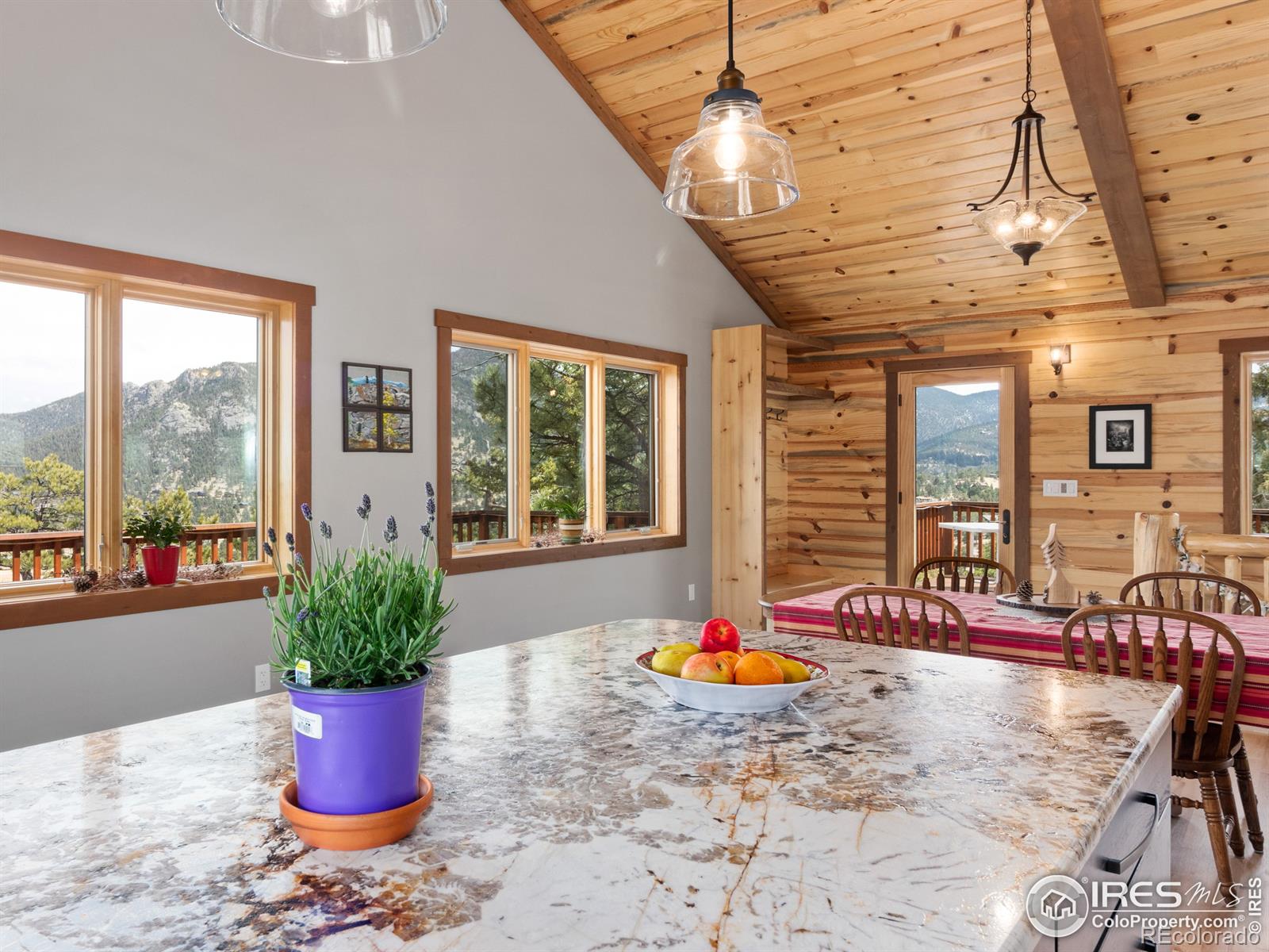 MLS Image #15 for 402  bluebird lane,estes park, Colorado