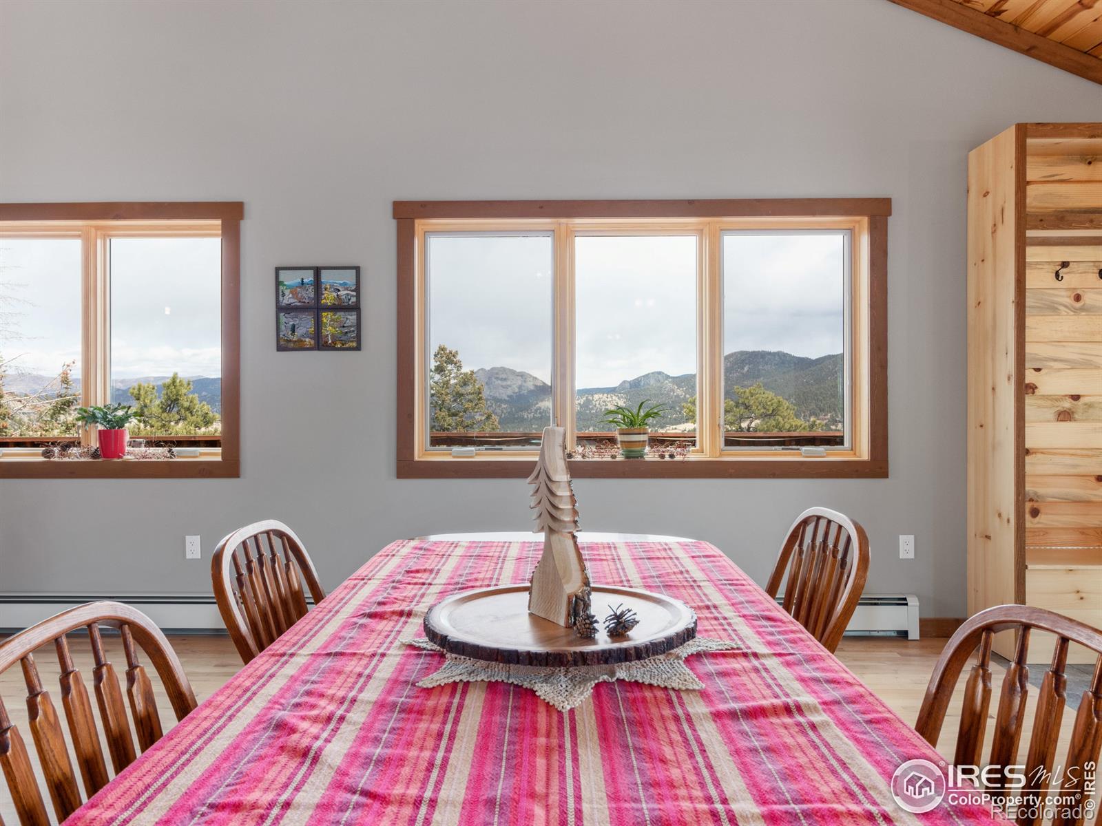 MLS Image #16 for 402  bluebird lane,estes park, Colorado