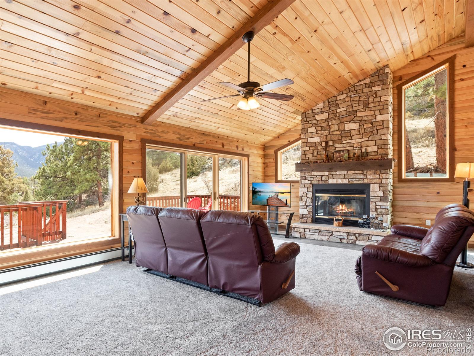 MLS Image #18 for 402  bluebird lane,estes park, Colorado