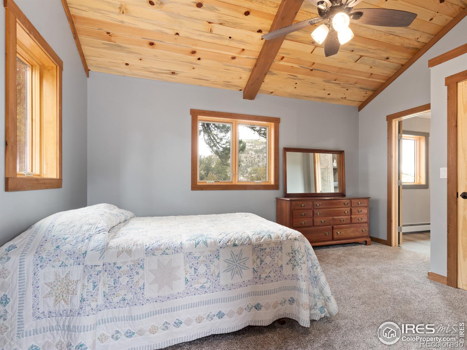 MLS Image #24 for 402  bluebird lane,estes park, Colorado