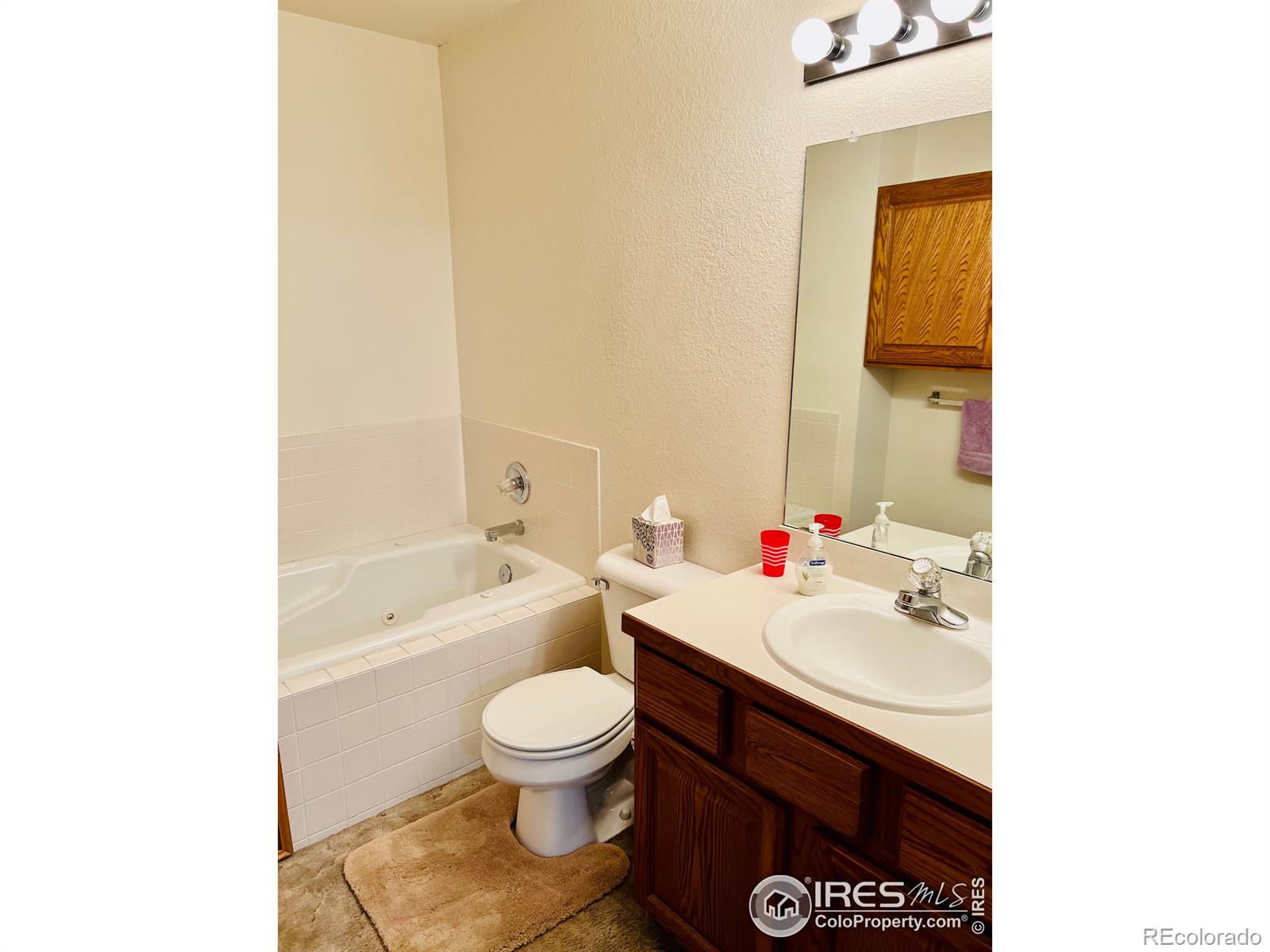 MLS Image #17 for 1746 e 18th street,loveland, Colorado