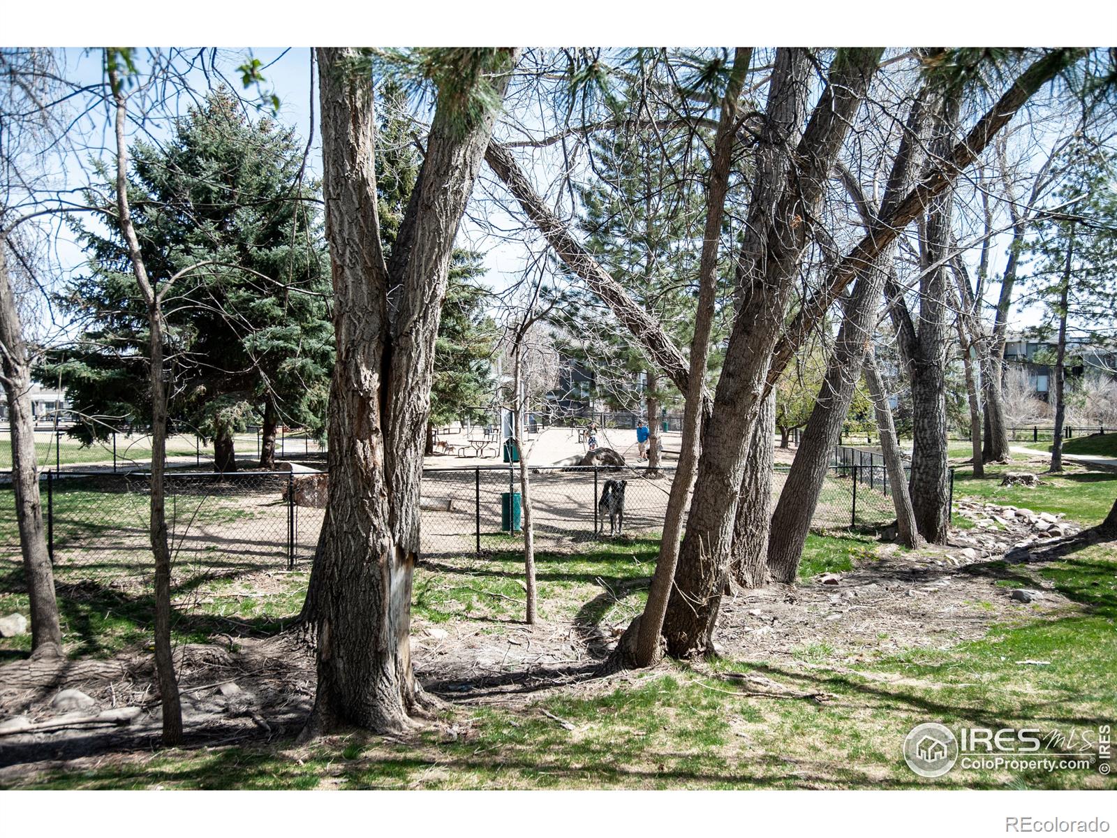 MLS Image #28 for 2800  kalmia avenue,boulder, Colorado