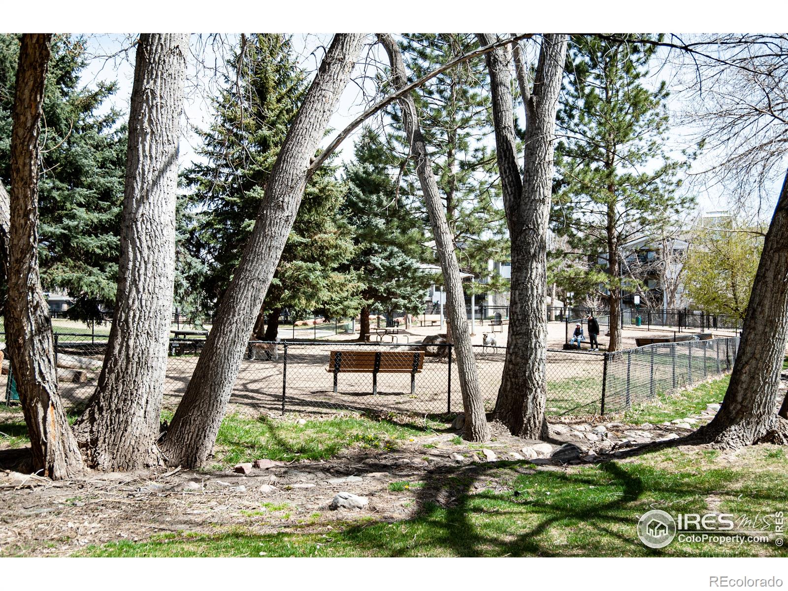 MLS Image #29 for 2800  kalmia avenue,boulder, Colorado