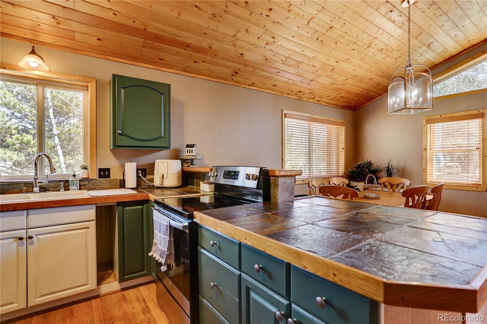 MLS Image #18 for 350  circle drive avenue,woodland park, Colorado