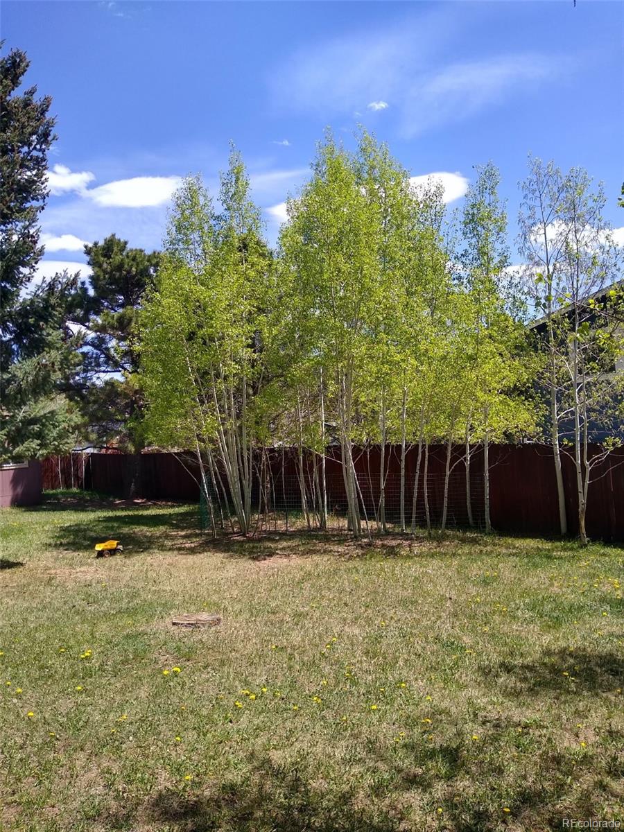 MLS Image #38 for 350  circle drive avenue,woodland park, Colorado