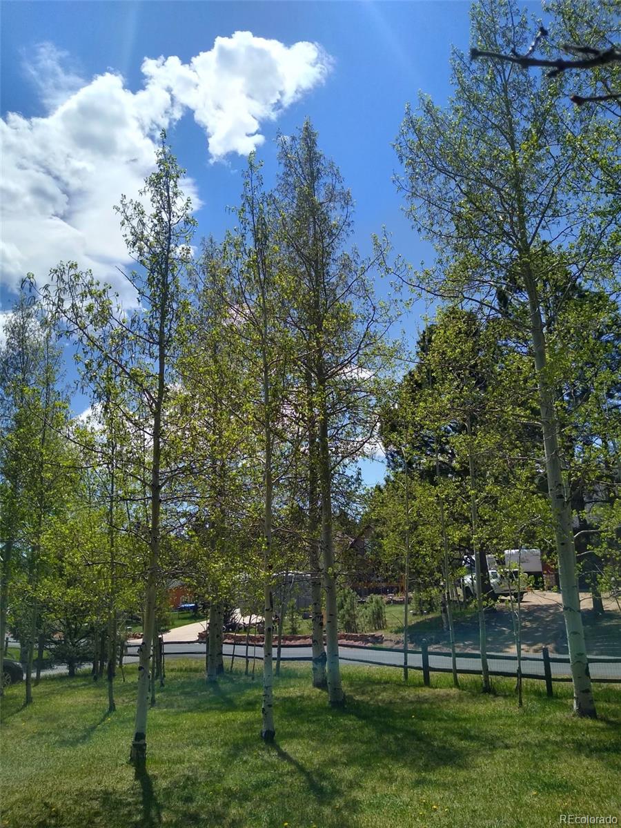 MLS Image #39 for 350  circle drive avenue,woodland park, Colorado