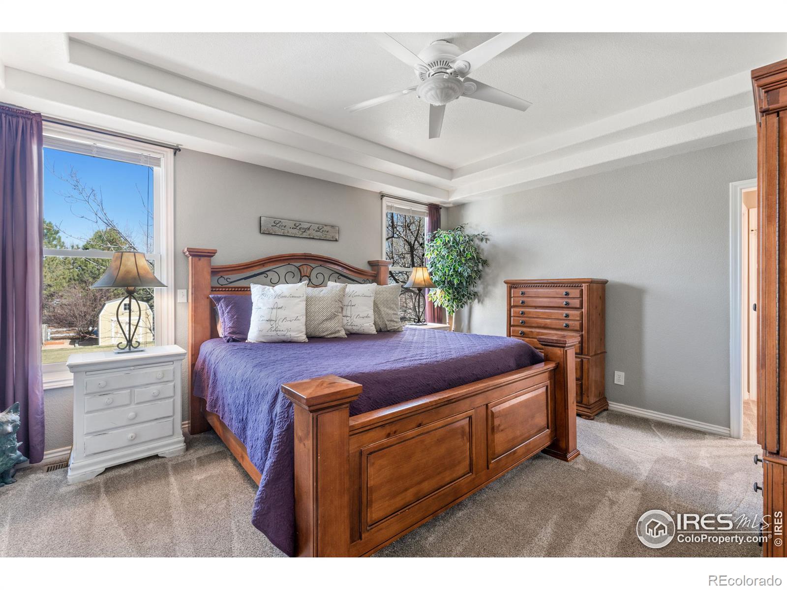 MLS Image #18 for 8113  louden crossing,windsor, Colorado
