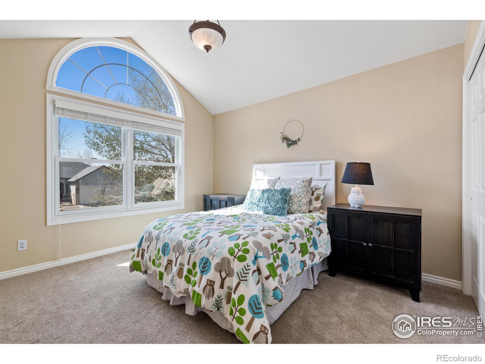 MLS Image #22 for 8113  louden crossing,windsor, Colorado